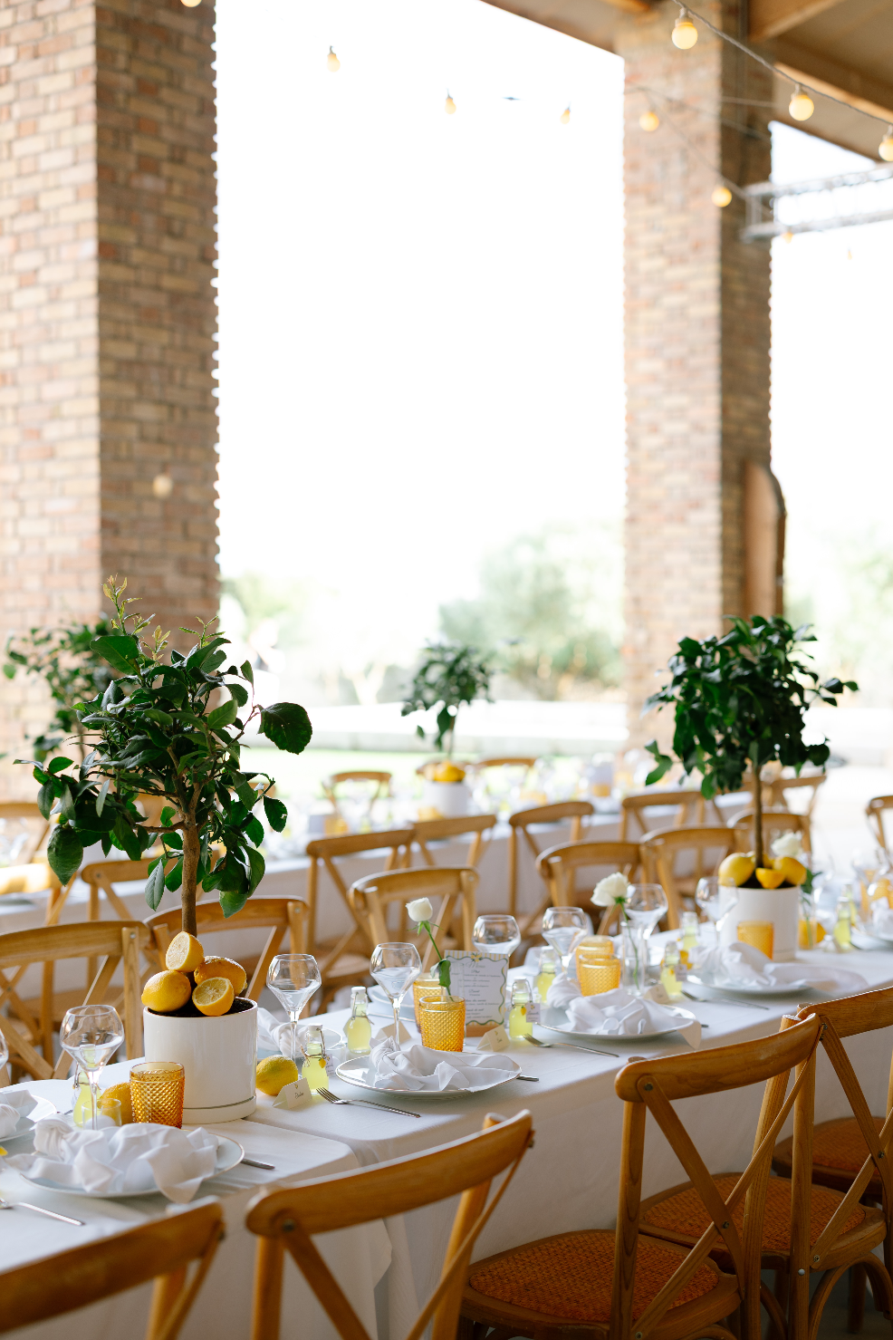 Dinner under the stars at the Terres de Sarson