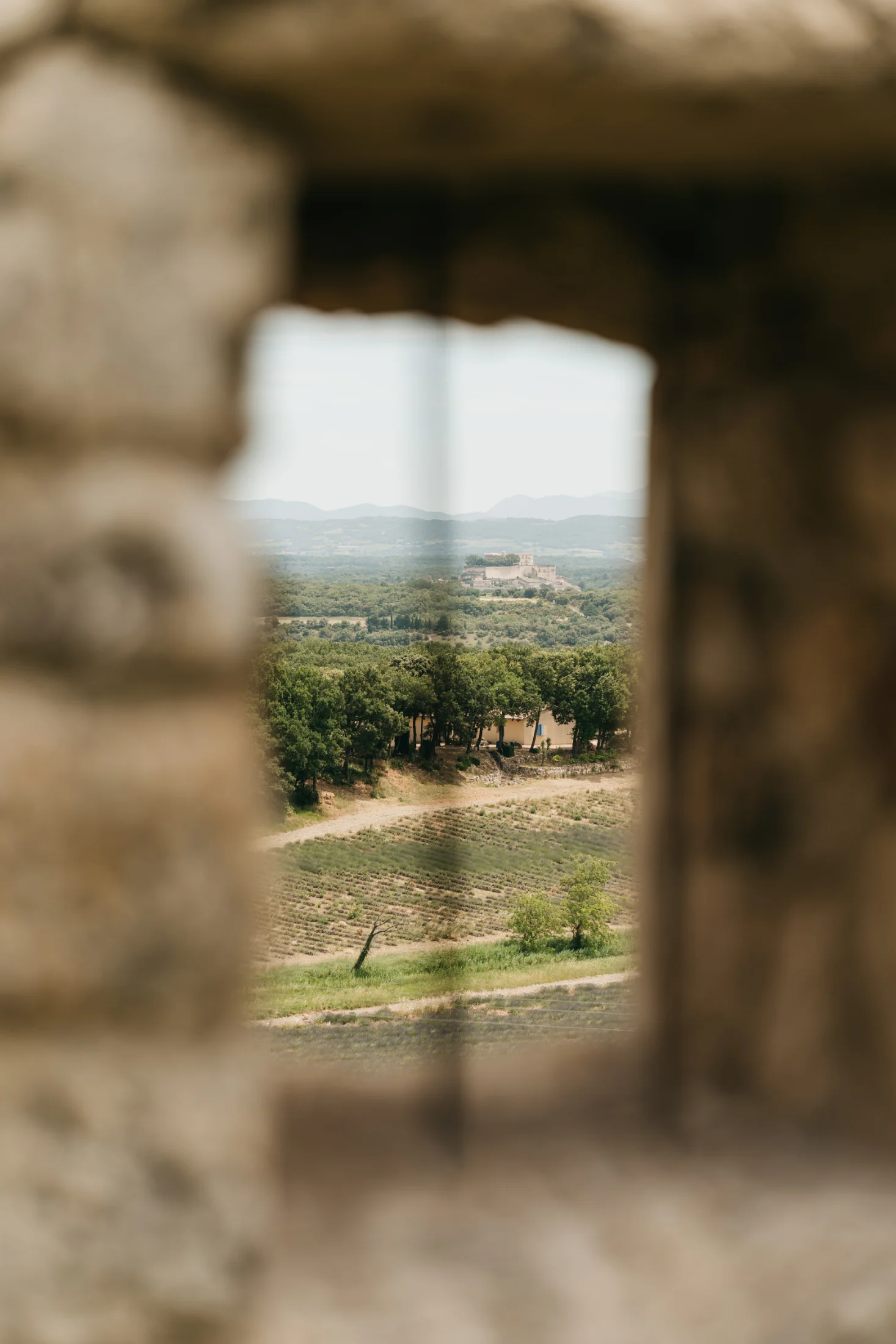 The View