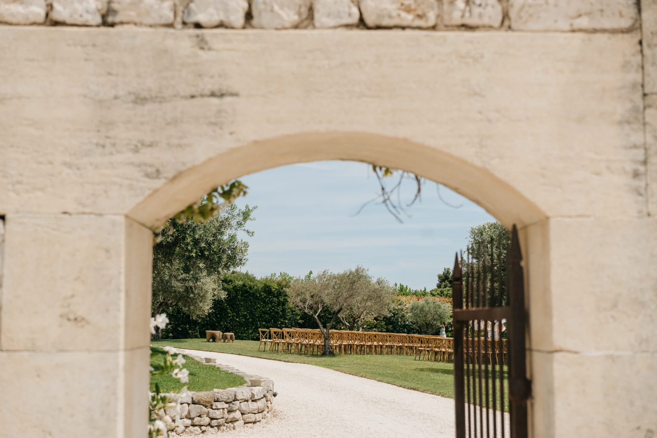 Olive groves, ceremony